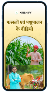 Videos on Crops and Animal Husbandry