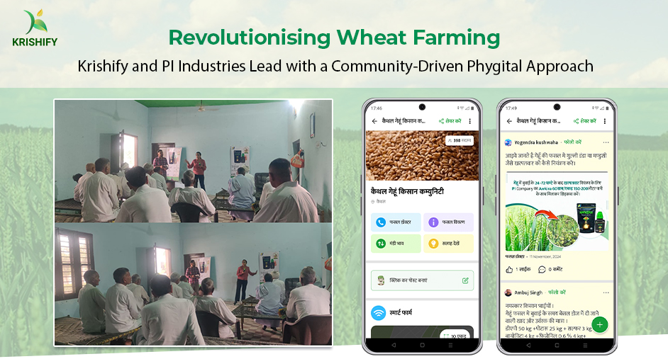 Revolutionising Wheat Farming: Krishify and PI Industries Lead with a Community-Driven Phygital Approach